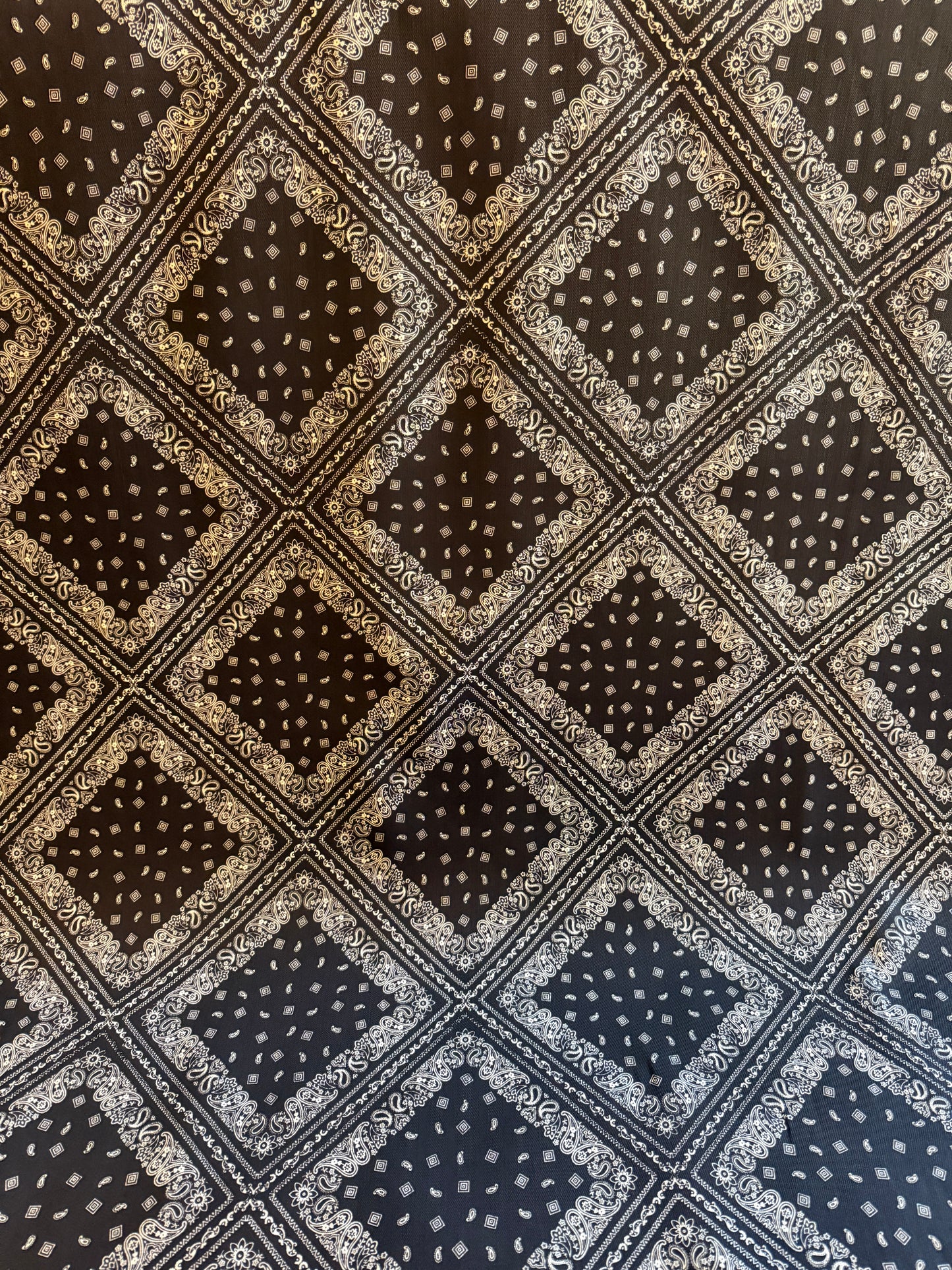 Bandana Print Denim Black and White